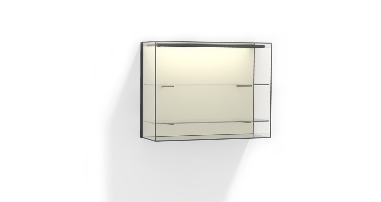 Wandvitrine W51 mit Tablaren und LED Lichtrohr