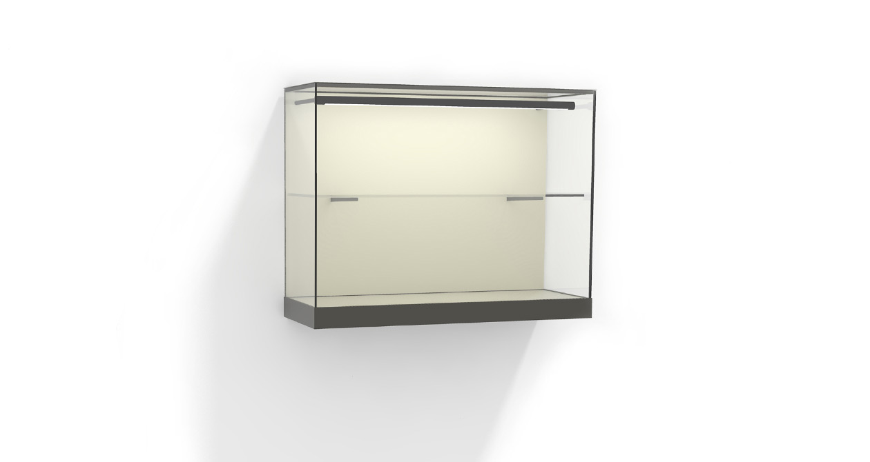 Wandvitrine W52 mit Tablar und LED Lichtrohr