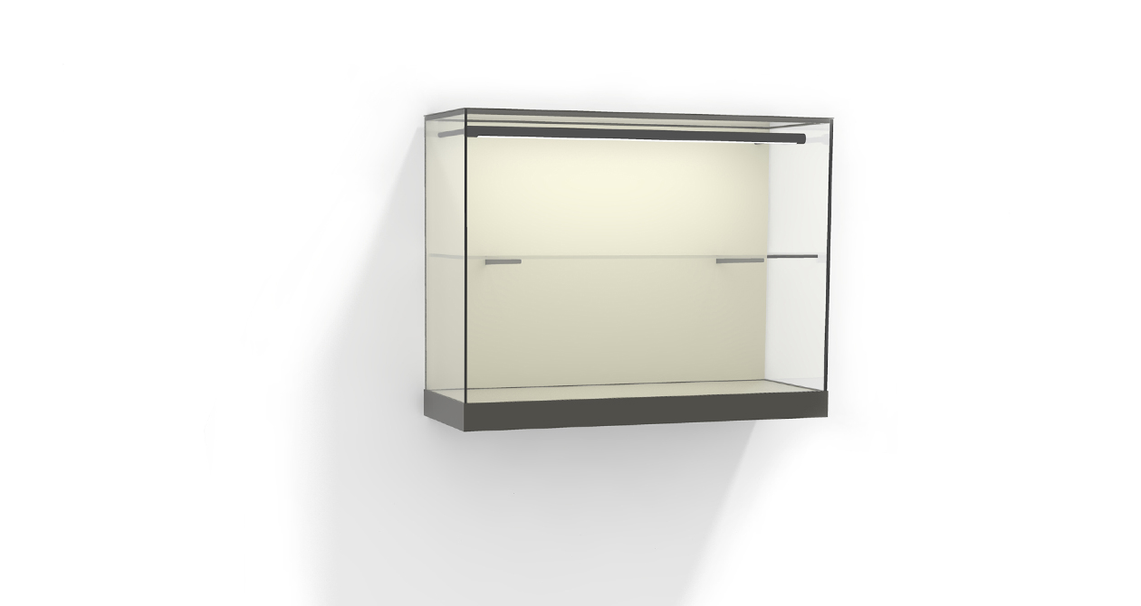 Wandvitrine W52 mit Tablar und LED Lichtrohr
